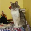 Отзыв от Надежда Царева